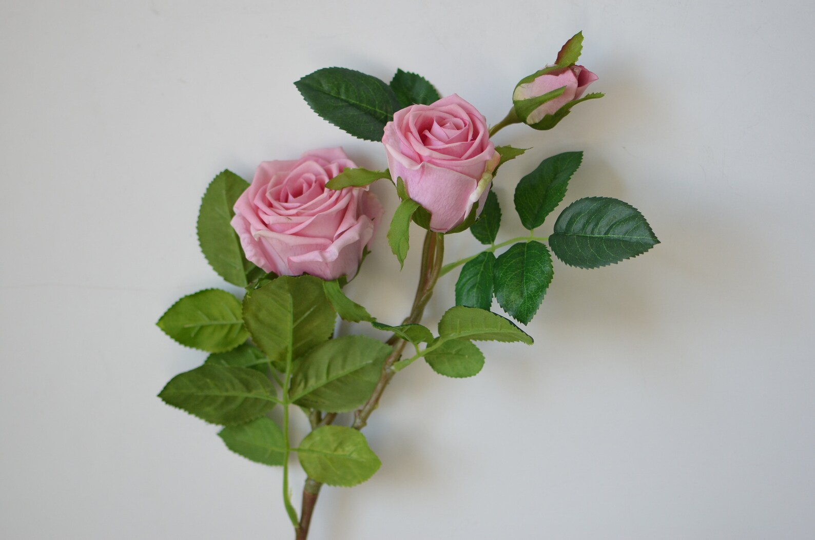 Pink Roes Real Dusty Pink Roses, Real Touch Roses, Old English Garden Roses, DIY Silk ...