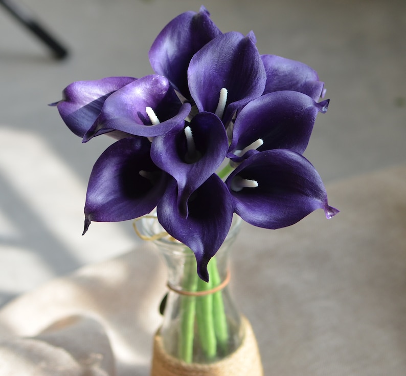 10 Eggplant Calla Lilies Dark Purple Real Touch Calla Lily Etsy