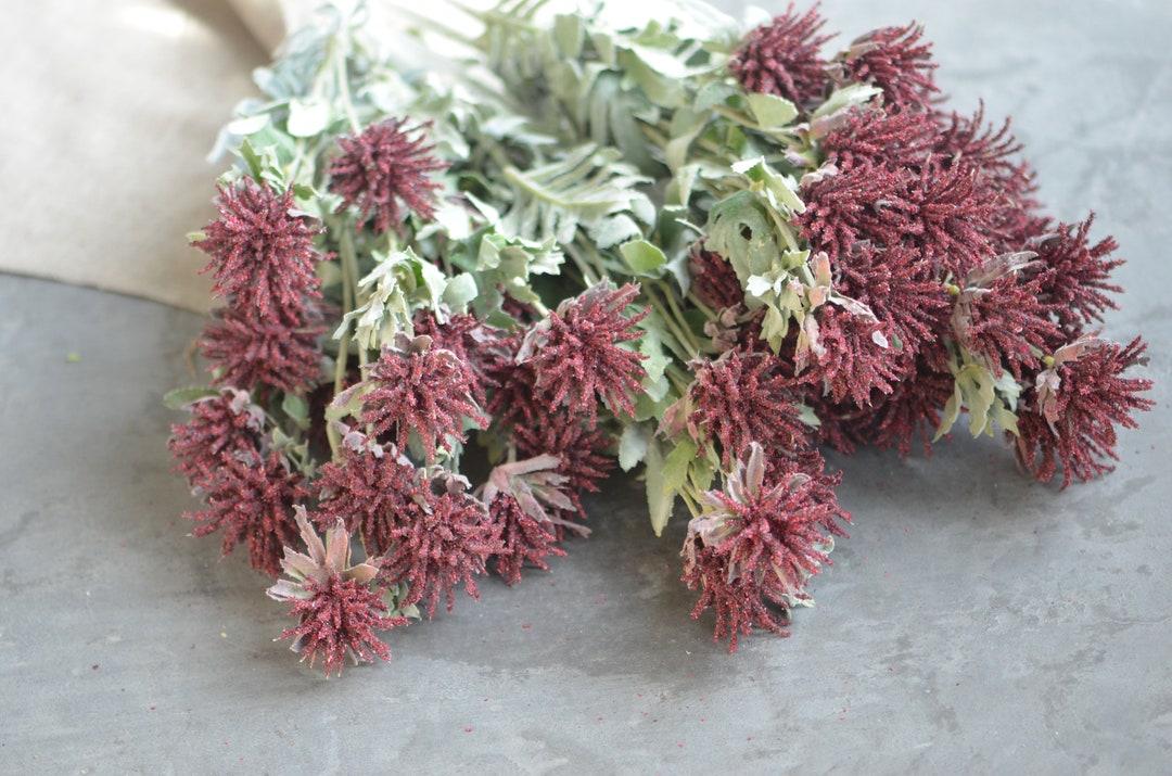 Burgundy Artificial Eryngo Filler, Flocked Faux Wildflowers, Floral