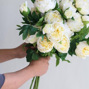 Pu&ograve; includere: Un mazzo di peonie bianche con foglie verdi. Le peonie sono in piena fioritura e hanno un colore crema delicato.