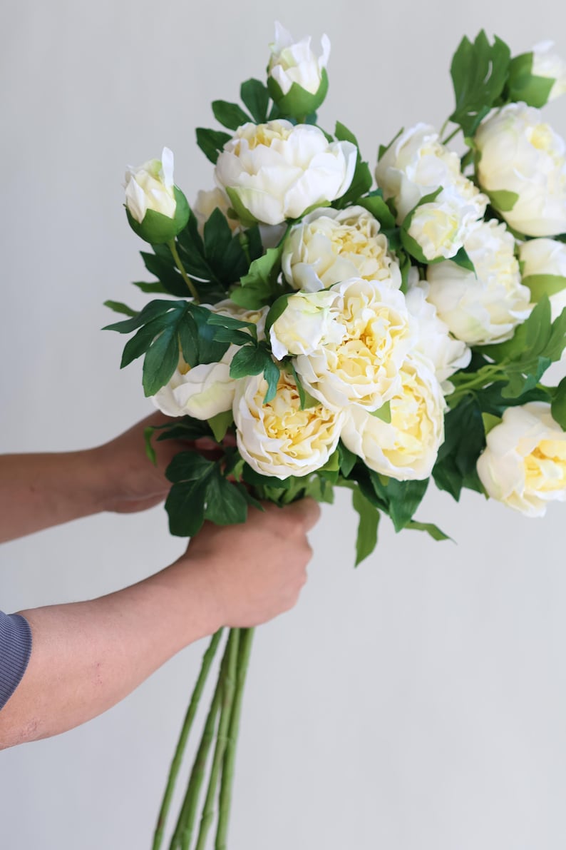 Pu&ograve; includere: Un mazzo di peonie bianche con foglie verdi. Le peonie sono in piena fioritura e hanno un colore crema delicato.