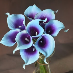 Blue Purple Picasso Calla Lilies 9 Stems Real Touch Flowers - Etsy