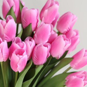 May include: A bouquet of pink tulips with green stems and leaves.