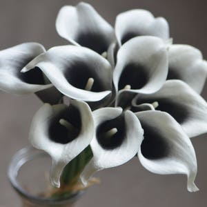 10 Artificial Black Picasso Calla Lilies: Real Touch Wedding Bouquet Flowers