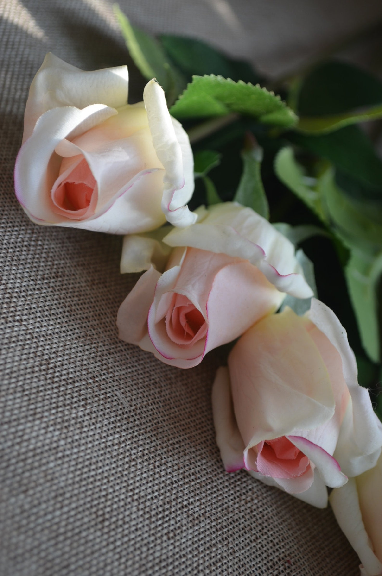 Light Blush Real Touch Rose Buds DIY Wedding Centerpieces Silk Etsy
