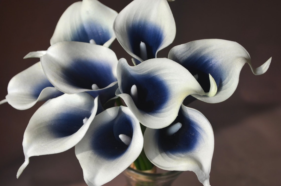 Dark Navy Picasso Calla Lilies Real Touch Flowers Diy Silk Etsy