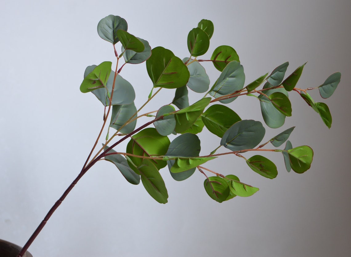 Round Eucalyptus Artificial Real Touch Eucalyptus Leaves Etsy