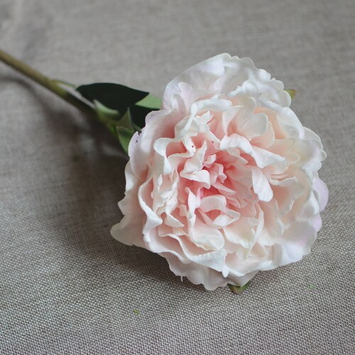 Real Touch Peony Bunch for Silk Bridal Bouquets Pink Burgundy Etsy