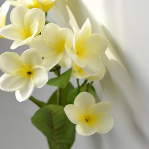 DIY Wedding Centerpieces Ivory Yellow frangipani Plumerias Stems Natural Real Touch Flowers For Silk Bridal Bouquet image 3