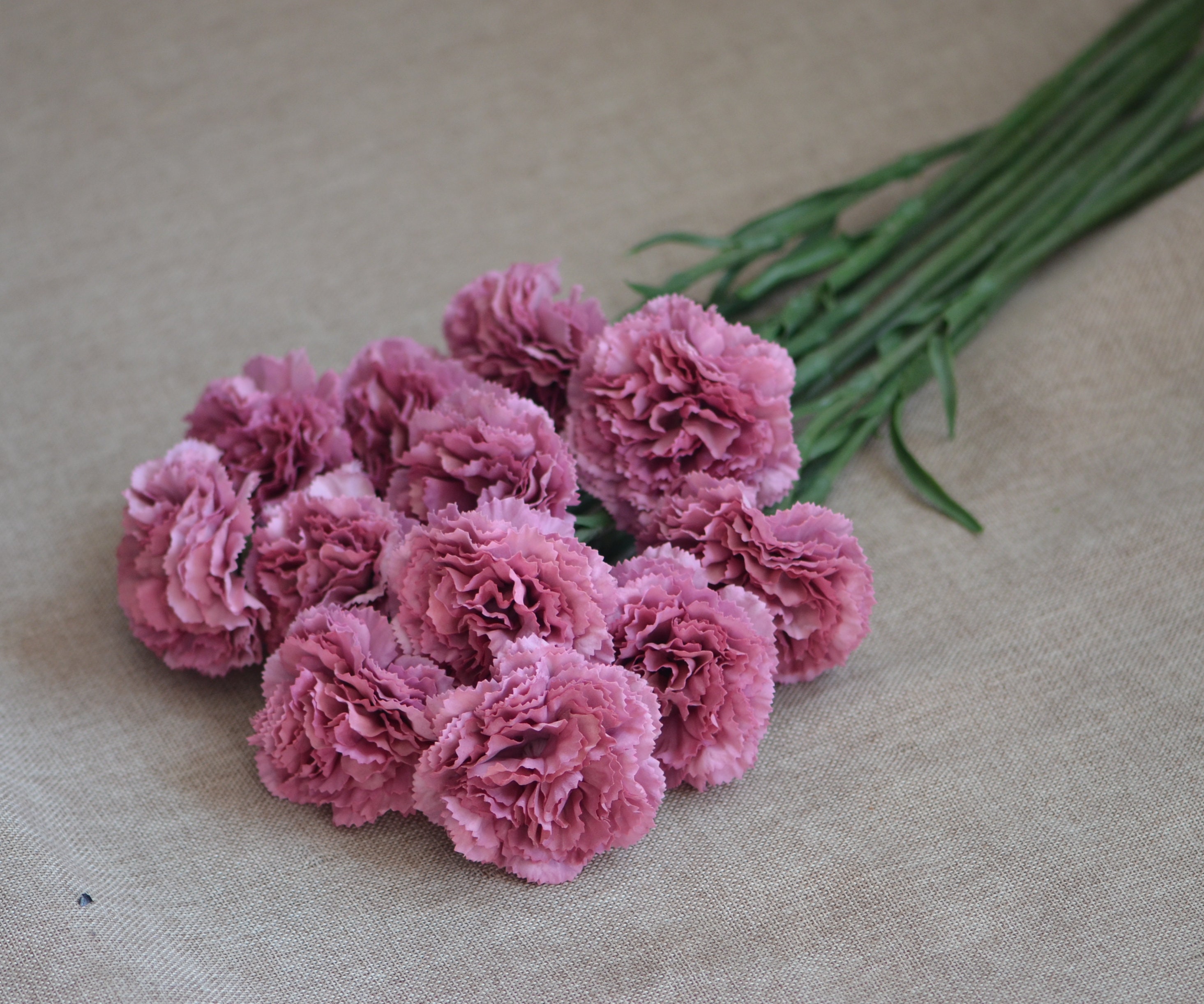 Purple Carnations Real Touch Carnations DIY Wedding Flowers Etsy