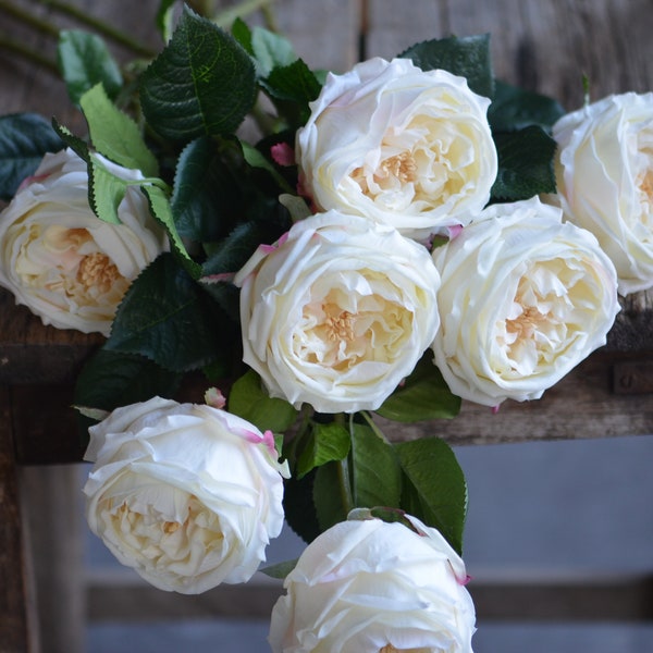 Ivory Austin Roses, Real Touch Artificial Roses, Cream White Cabbage Roses, For DIY Wedding Bouquets, Centerpieces Make
