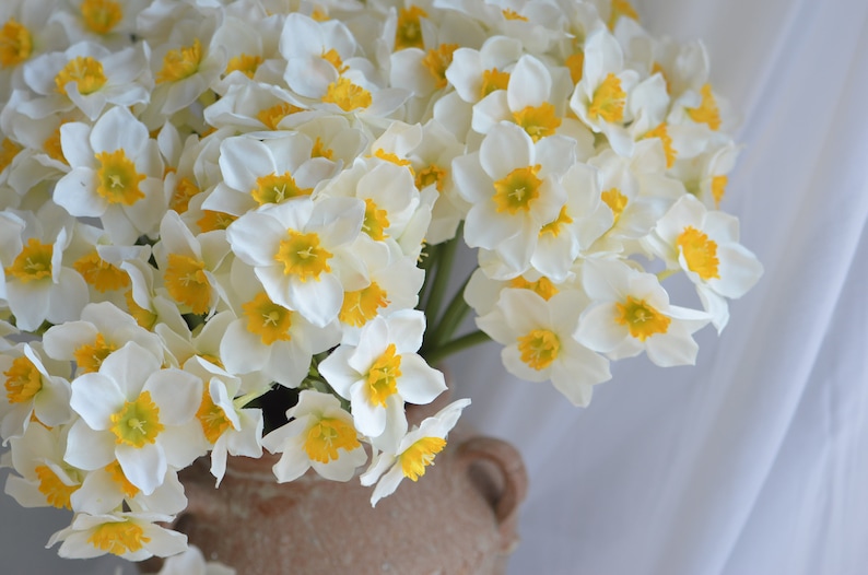 6 Stems Faux Daffodils Bouquet in White Yellow, Artificial Daffodils Bunch, Fake Spring Plant Stem, DIY Wedding/Home Decoration | Gifts image 2