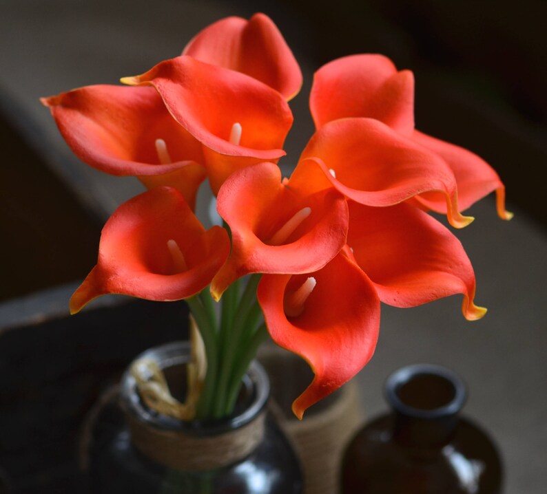 May include: A bouquet of orange calla lilies in a vase. The lilies are arranged in a fan shape, with the tips of the flowers pointing outwards. The vase is made of clear glass and has a brown twine wrapped around the top.