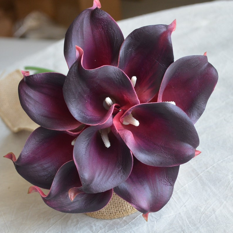 10 lirios de cala de color burdeos oscuro flores de toque real - Etsy España