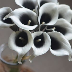 May include: A bouquet of white calla lilies with black centers. The flowers are arranged in a vase.