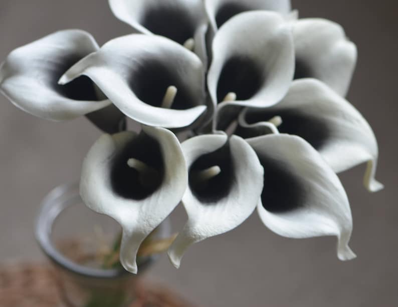 May include: A bouquet of white calla lilies with black centers. The flowers are arranged in a vase.