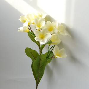 DIY Wedding Centerpieces Ivory Yellow frangipani Plumerias Stems Natural Real Touch Flowers For Silk Bridal Bouquet image 5