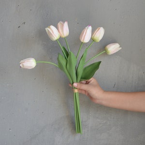 May include: A bouquet of pale pink tulips with green stems and leaves.