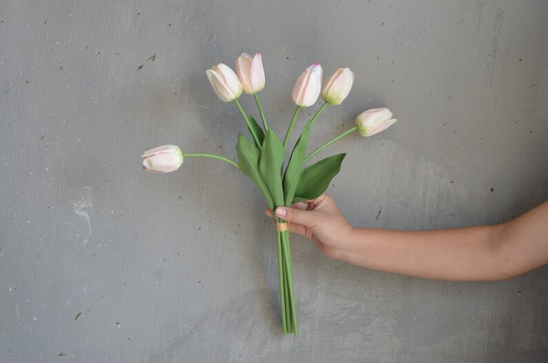 May include: A bouquet of pale pink tulips with green stems and leaves.