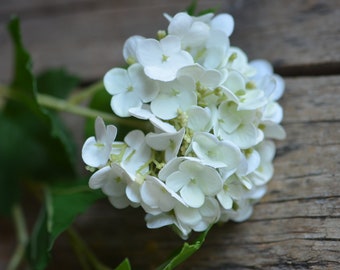 3Heads Faux Real Touch Small Hydrangeas, High Quality Artificial Flower | DIY Florals Supply | Wedding/Home/Kitchen Decoration | Gifts