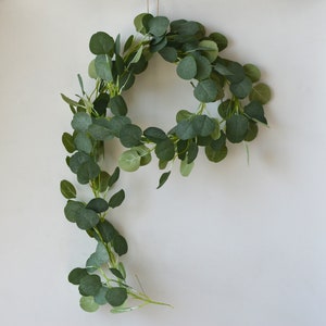 Puede incluir: Una guirnalda de eucalipto verde con hojas dispuestas en círculo, colgando de una cuerda.