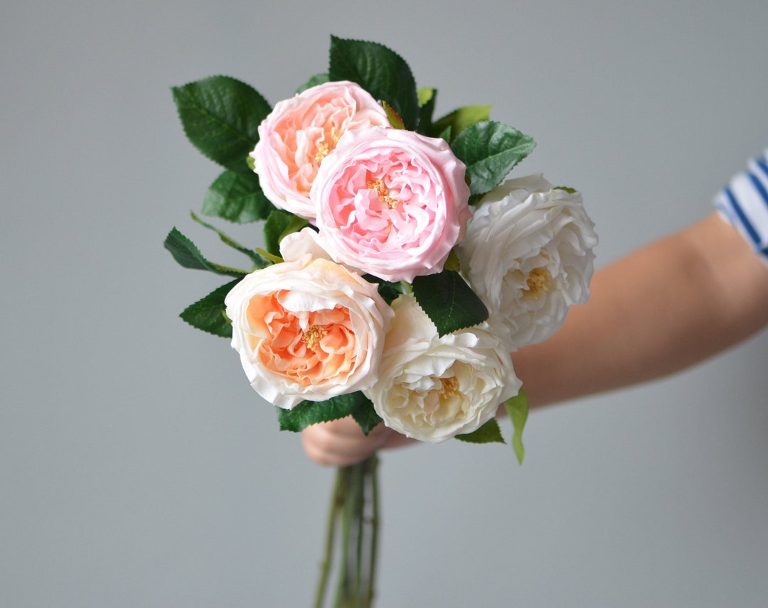 Cup Roses Making Fake 24” Faux Austin Roses, Real Touch Fake Rose, Blush Cream Ivory, DIY ...