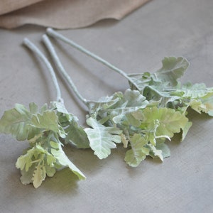 May include: Three stems of artificial lamb's ear plants with soft, fuzzy, light green leaves.