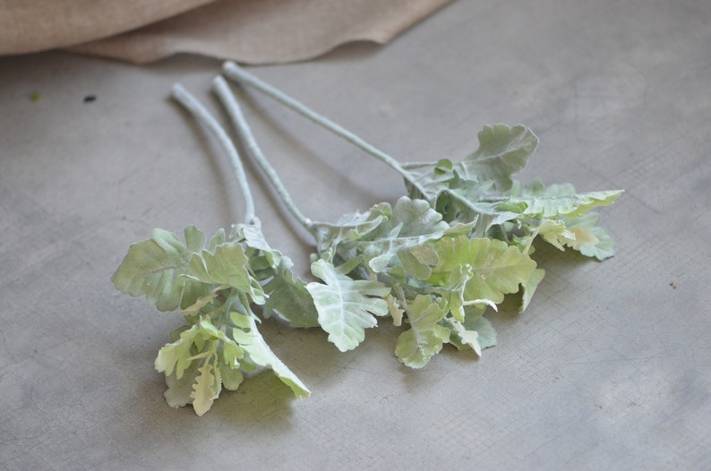 May include: Three stems of artificial lamb's ear plants with soft, fuzzy, light green leaves.