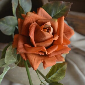 May include: A single, deep orange rose with green leaves. The rose is in full bloom and has a velvety texture.