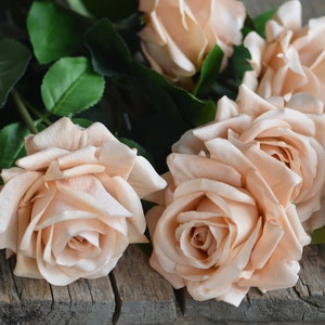 Morandi Pink Real Touch Rosen, Vintage Beige Kunstblumen