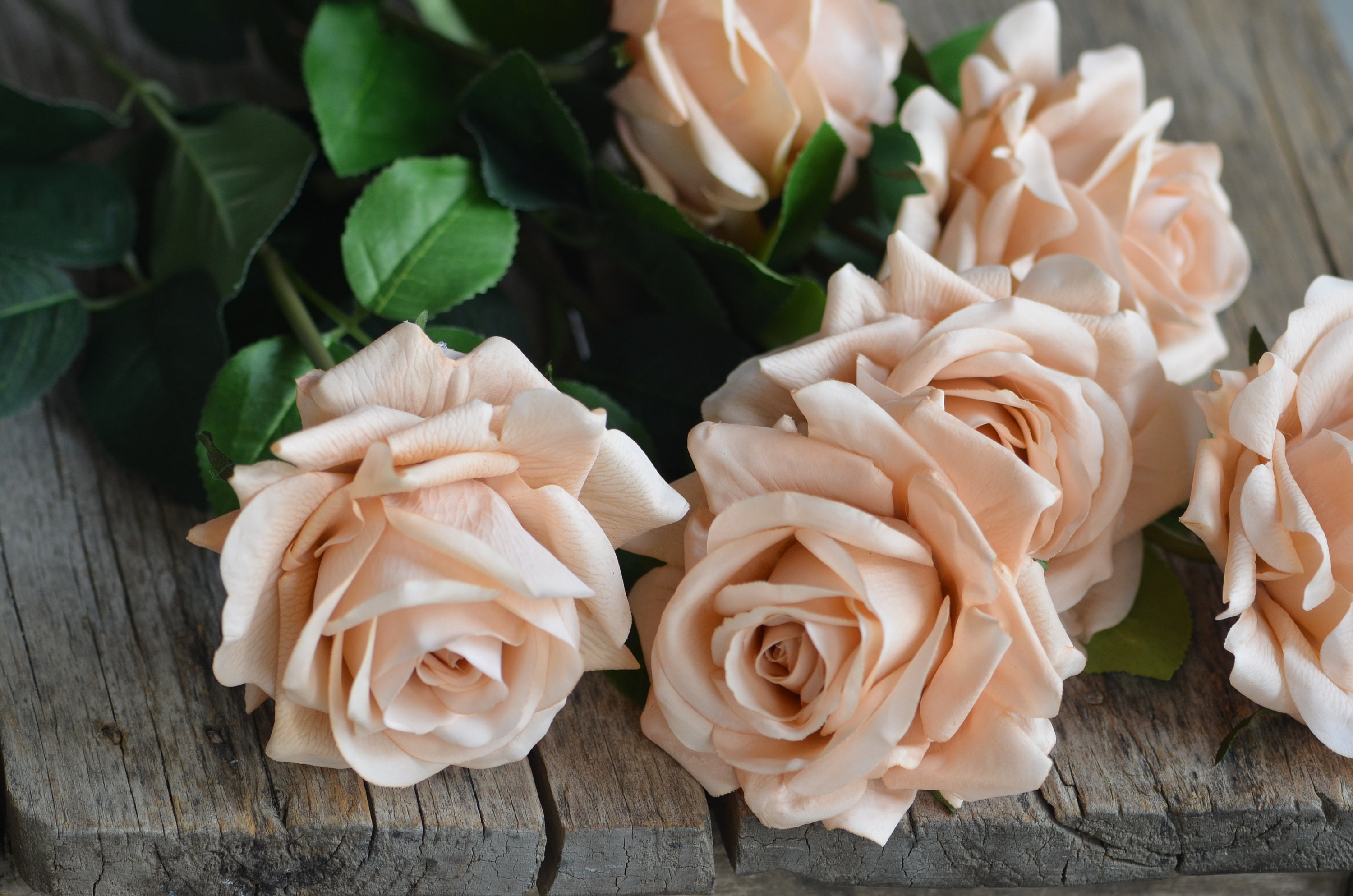 Morandi Pink Real Touch Roses, Vintage Beige Artificial Flowers - Etsy