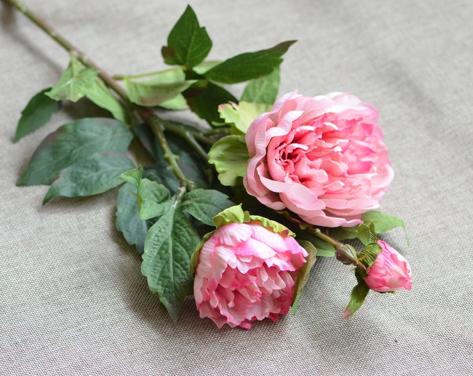 Pink Peonies Real Touch Peonies White Purple Peonies DIY Etsy