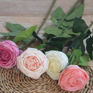 Cabbage Roses Real Touch Roses Blush Cream Ivory Coral Silk Etsy Cabbage Roses Real Touch Roses Blush Cream Ivory Coral Silk Etsy