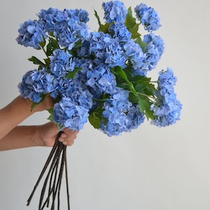 May include: A bouquet of blue hydrangeas with dark brown stems.