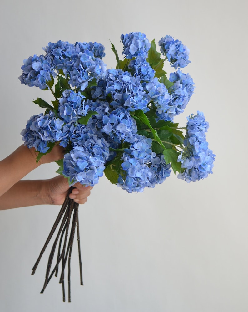May include: A bouquet of blue hydrangeas with dark brown stems.