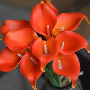 May include: A bouquet of orange calla lilies with white centers. The lilies are arranged in a vase and are ready to be displayed.