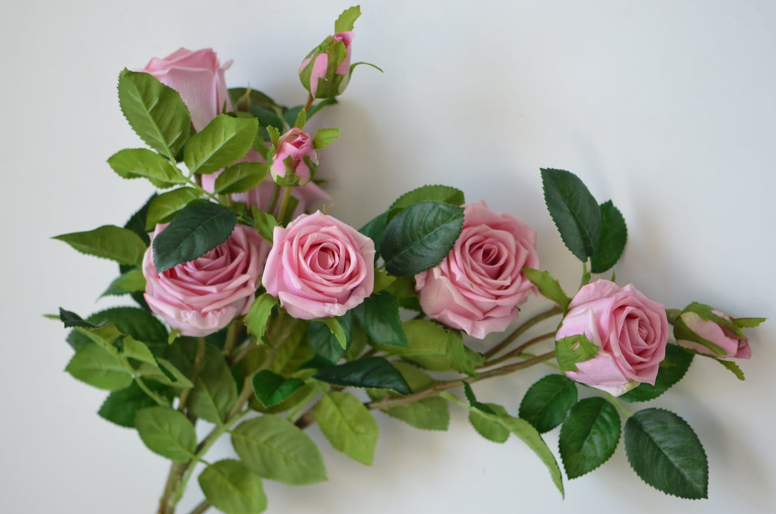 Pink Roes Real Dusty Pink Roses, Real Touch Roses, Old English Garden Roses, DIY Silk ...