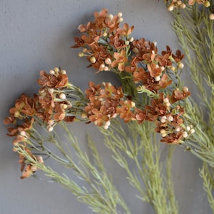 Burnt Orange Brown Wildflowers, Faux Coffee Small Flowers, Terracotta DIY Small wildflowers, Fall Autumn WildFlowers