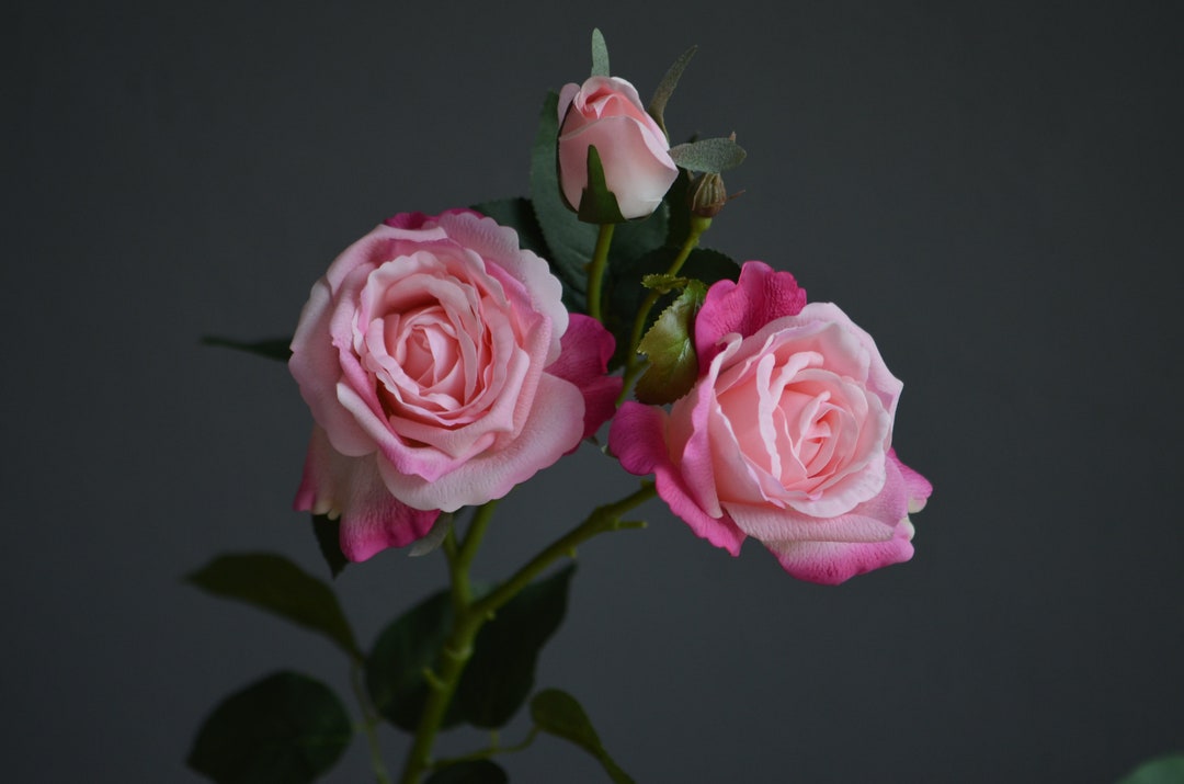 3 Heads - Real Touch Artificial Hot Pink Garden Roses, High Quality ...