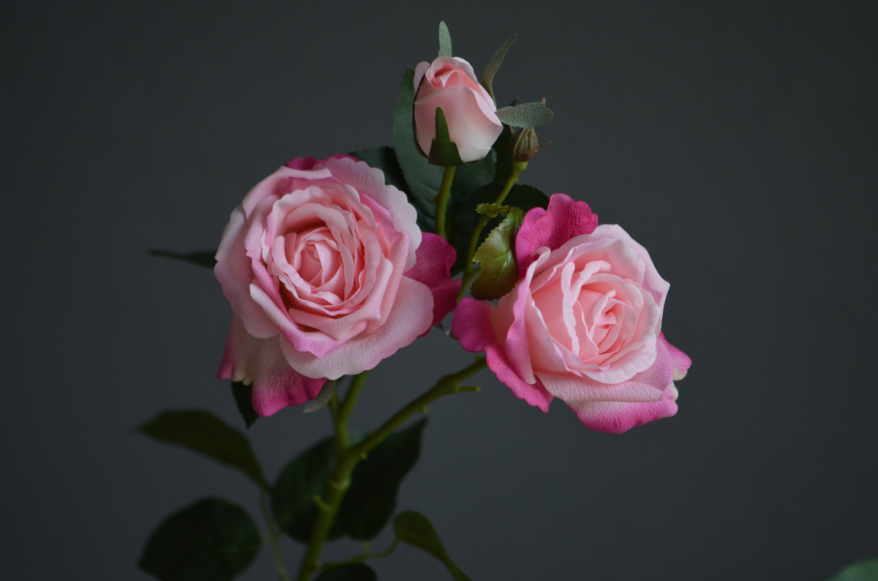 3 Künstliche Rosen Aus Latex – Hot Pink, Fühlen Sich Echt An, Langlebig Für Deko Ohne Pflege