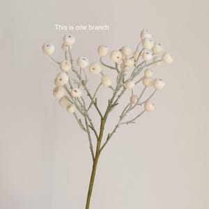 May include: A single branch of white berries with a light green stem. The text "This is one branch" is written above the branch.
