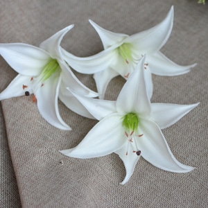 White Tiger Lily Head Blooms Real Touch Flowers DIY Wedding Cake Toppers