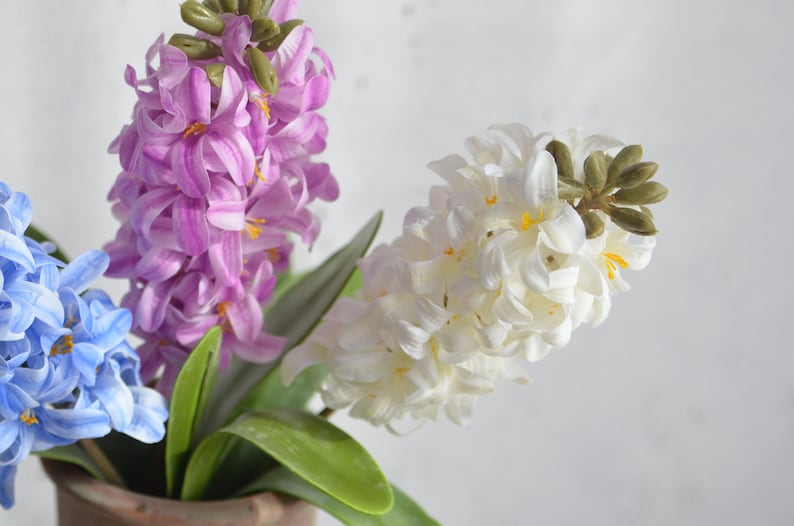 May include: A close-up of a floral arrangement featuring hyacinth flowers in shades of blue, purple, and white. The flowers are in full bloom, with detailed petals and green leaves. The arrangement is in a brown pot.