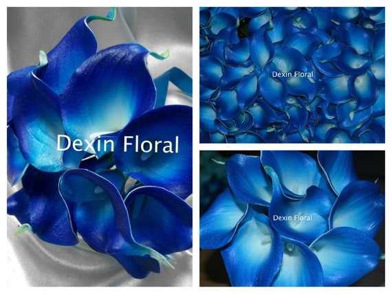 Real Touch Deep Blue Turquoise Calla Lily Stems Diy Silk Etsy