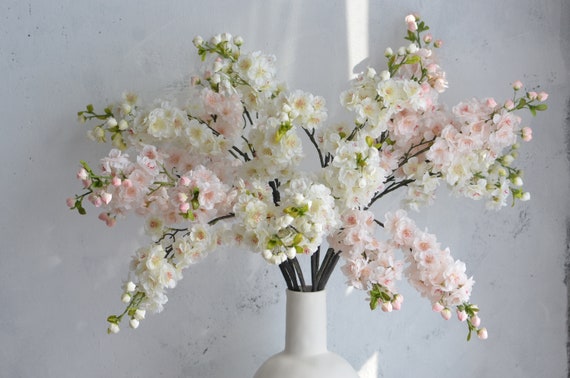 Rami Di Fiori Di Ciliegio Fiori Rosa Rami Fiori Rami Decorativi Di