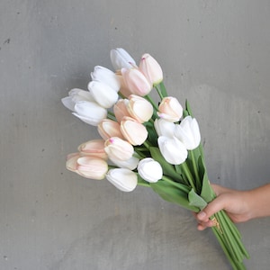 May include: A bouquet of pink and white tulips with green stems.