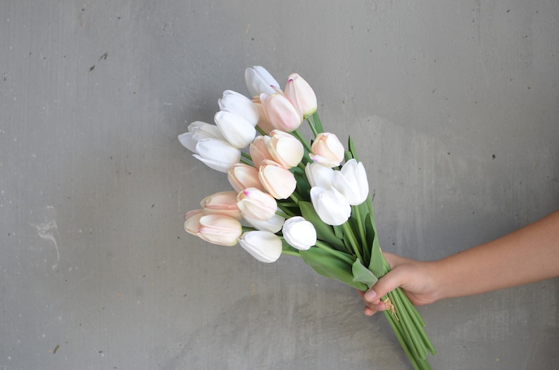 May include: A bouquet of pink and white tulips with green stems.