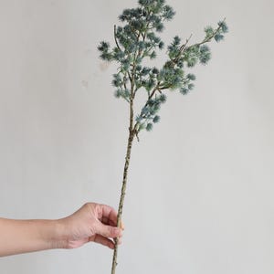 K&ouml;nnte beinhalten: Ein einzelner k&uuml;nstlicher Zweig in schiefergr&uuml;n. Der braune Stiel hat mehrere kleinere Zweige mit kleinen, stacheligen, blau-gr&uuml;nen Bl&auml;ttern. Der Text "This is one branch-Slate Green" steht oben.