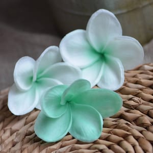 May include: Three white and green plumeria flowers on a woven wicker surface. The flowers are arranged in a cluster, with the white flowers on top and the green flower on the bottom.