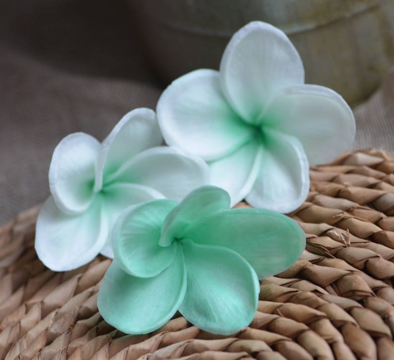 May include: Three white and green plumeria flowers on a woven wicker surface. The flowers are arranged in a cluster, with the white flowers on top and the green flower on the bottom.